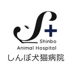 上越市の動物病院、犬・猫、避妊・去勢－【しんぼ犬猫病院】